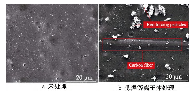 低溫等離子體處理前后復合材料表面 SEM圖(a)未處理(b)